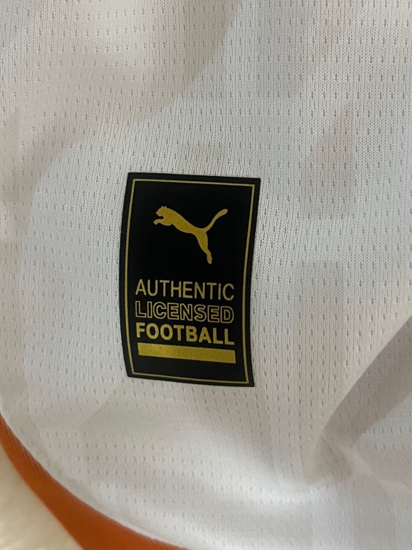 マンチェスター・シティ Lサイズ