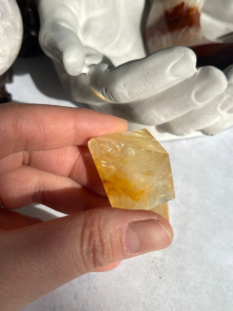 SALE☆ ゴールデンヒーラー ピラミッド 親子セット セット売り レインボー