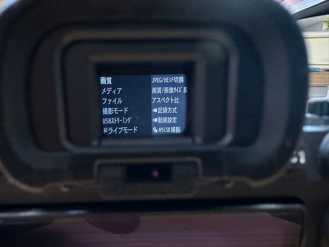 【12/10 本日最終日】SONYミラーレスカメラ α7Ⅳ 本体