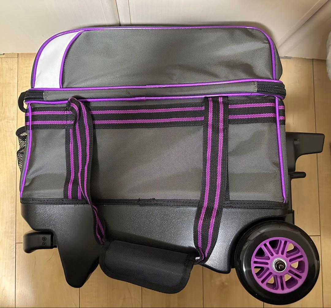 ボウリングバック2個入り（ラディカル）