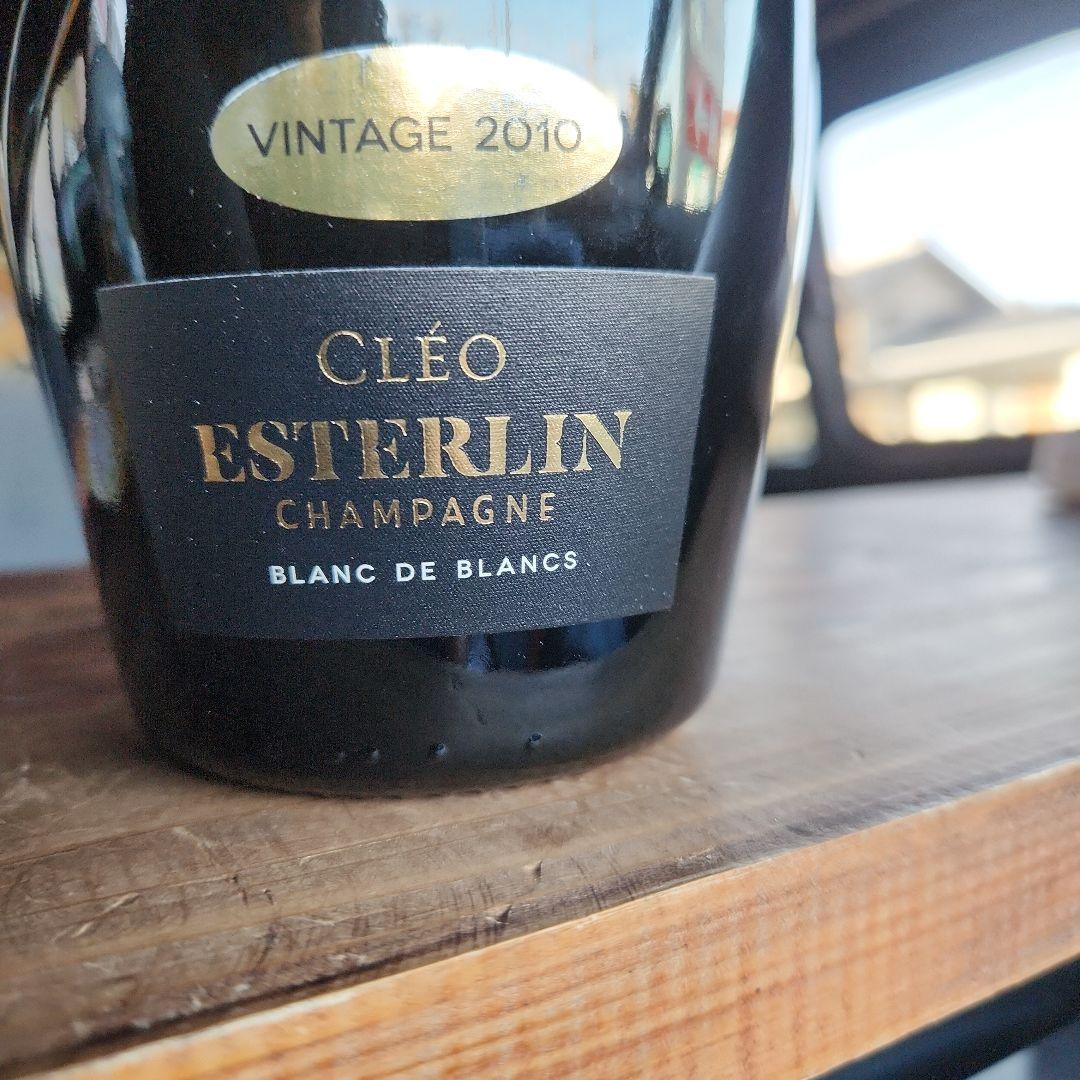 Esterlin シャンパン 2010年 750ml