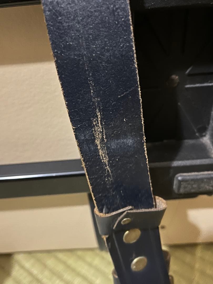 グローブトロッター シップス コラボ21インチ 限定品　機内持ち込み可