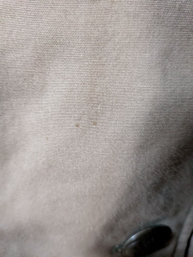 TSUMORI CHISATO ファー付きモッズコートコウモリボタン 訳あり