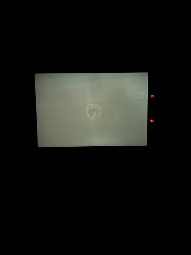 Canon キャノン　AE-1 program 50mmF1.4訳あり