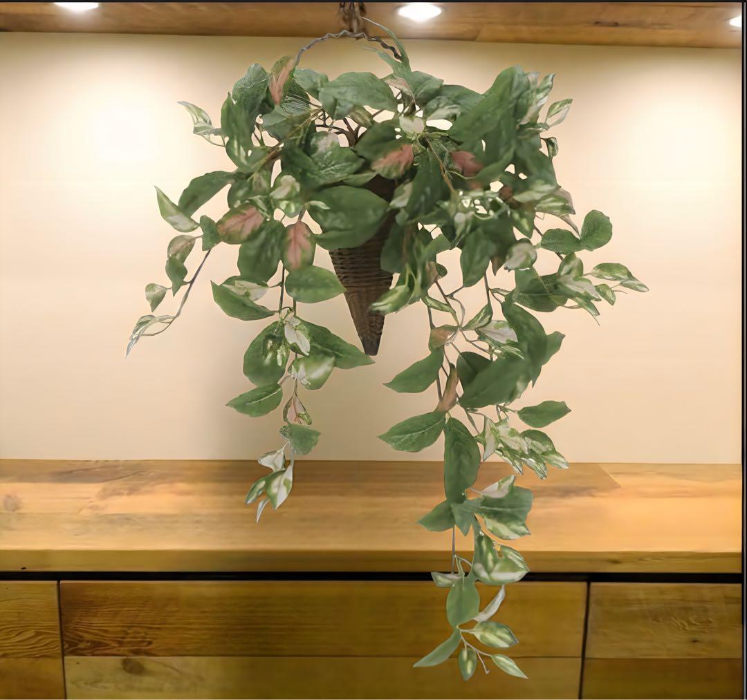 光触媒　人工観葉植物　ウォールグリーン　フェイクグリーン　壁掛け　ツートンホヤ
