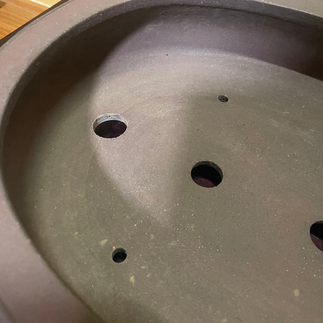 【落款あり】松泉焼 山秋造 楕円袋式雲足 紫泥 盆栽鉢 真柏 時代鉢