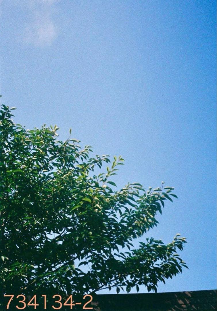 Ricon AUTO HALF フィルムカメラ