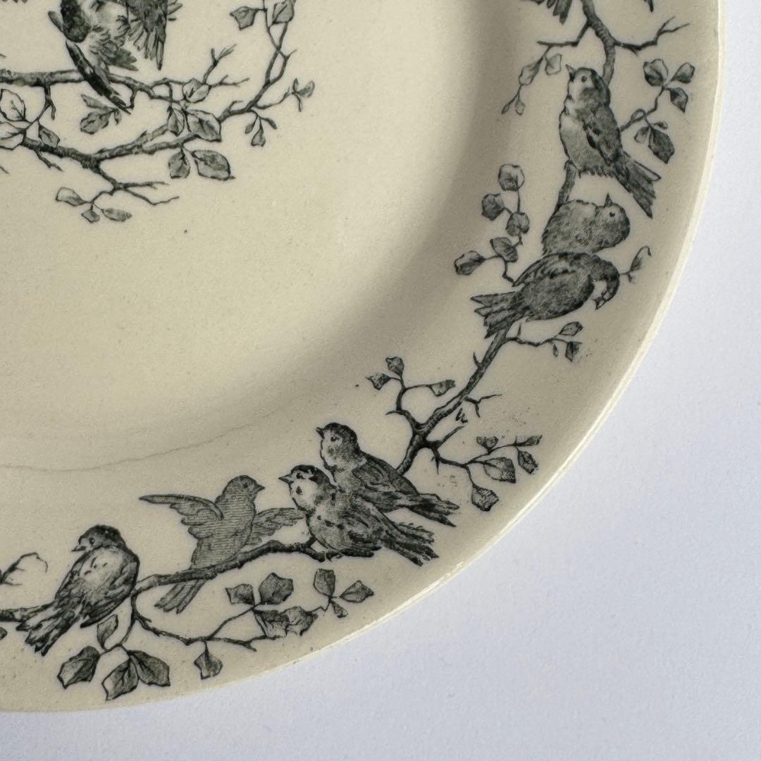 美品　フランスアンティーク　Gien AVIARY ディナープレート