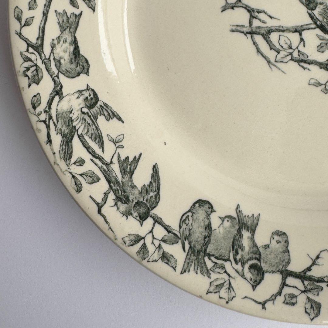 美品　フランスアンティーク　Gien AVIARY ディナープレート