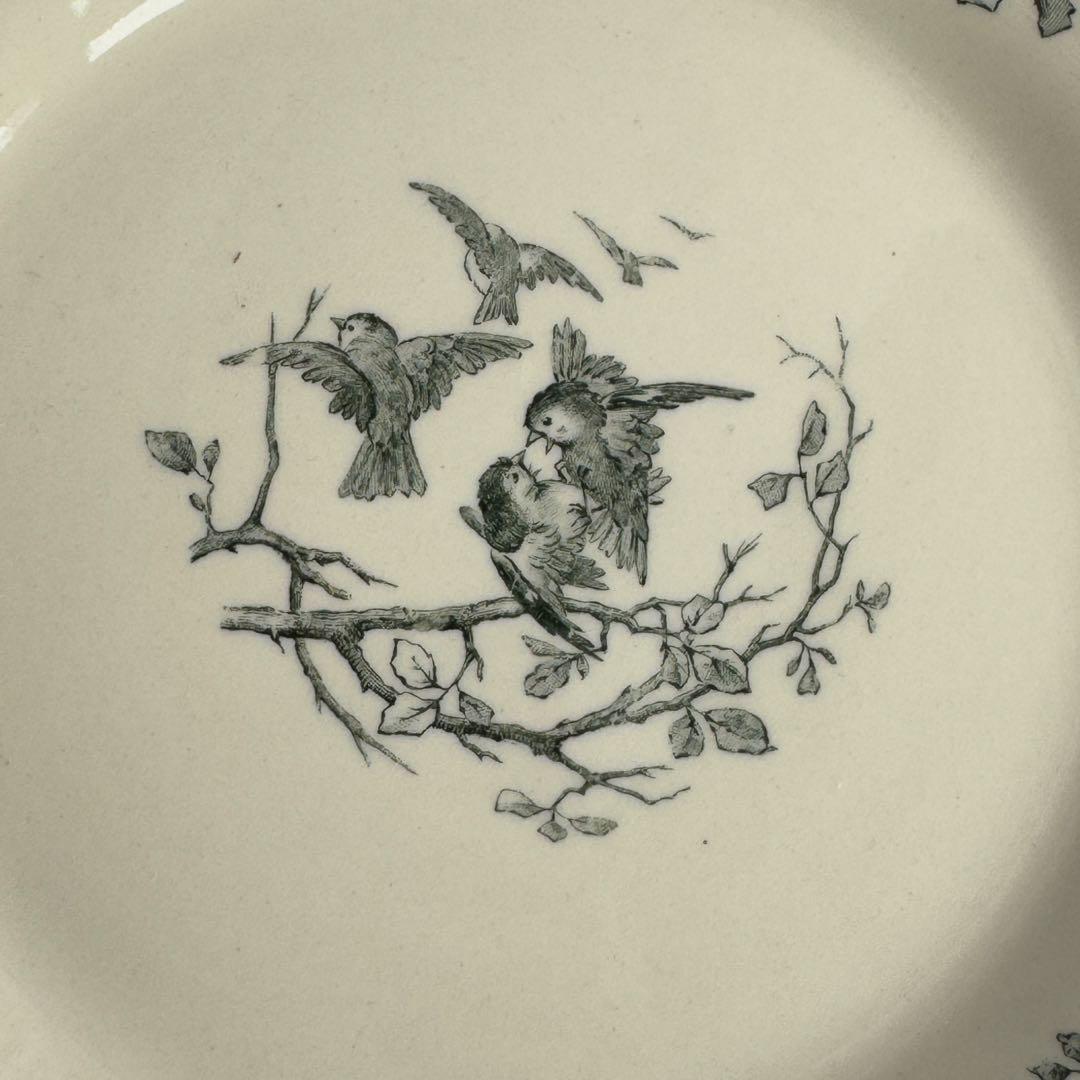 美品　フランスアンティーク　Gien AVIARY ディナープレート
