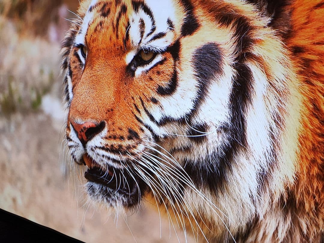 BenQ GK100　4Kプロジェクター　美品