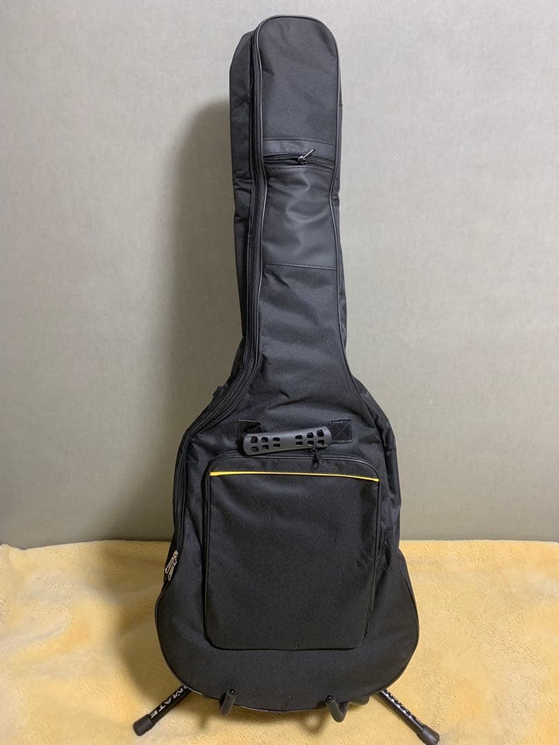 ARIA FET-F1 N エレアコ