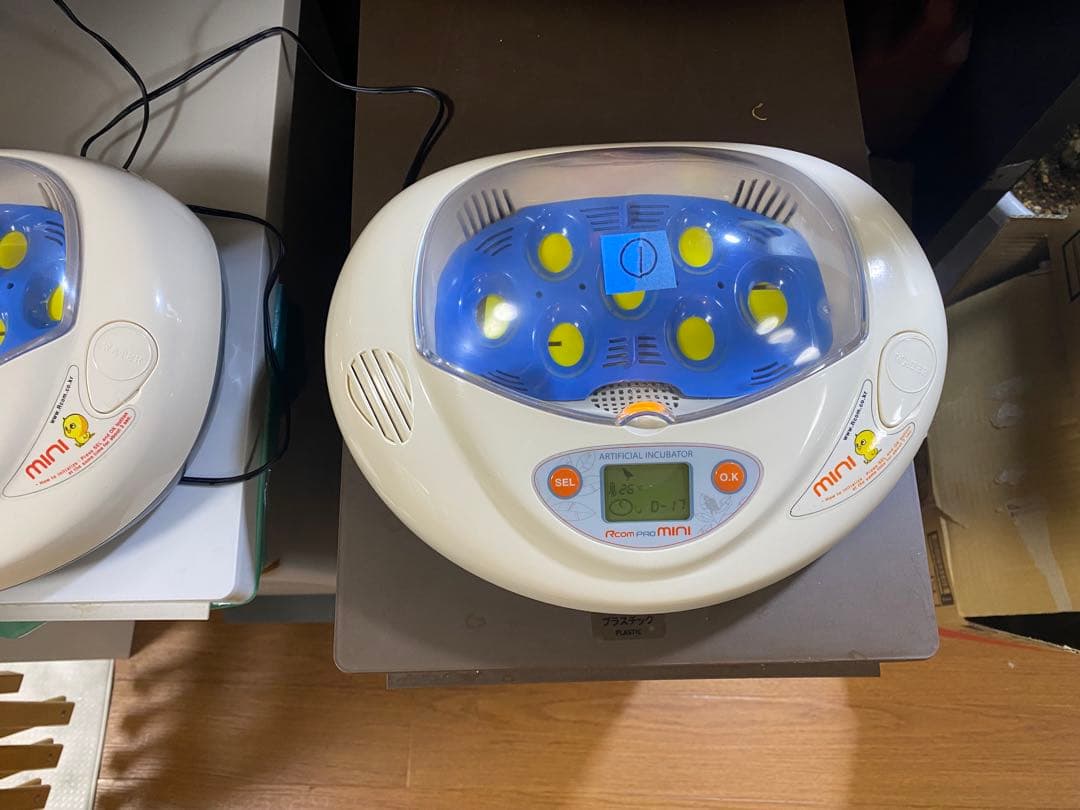 最終値下げ！リトルママ値下しました