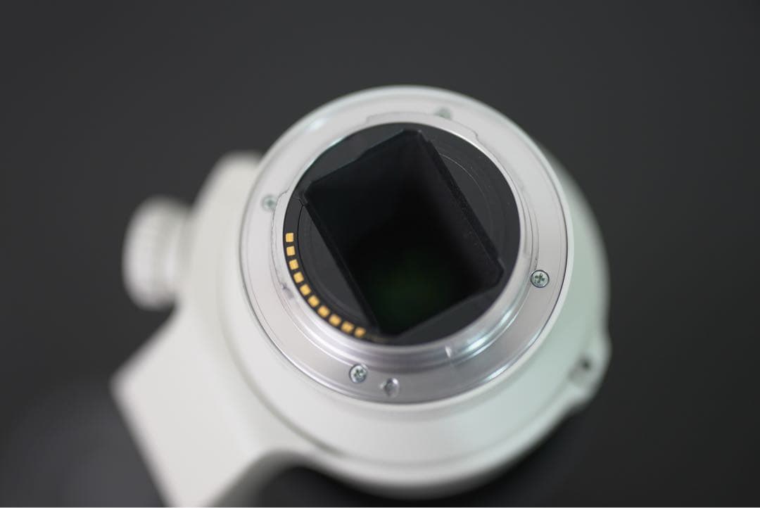 SONY FE 70-200mm F4 G OSS望遠ズーム