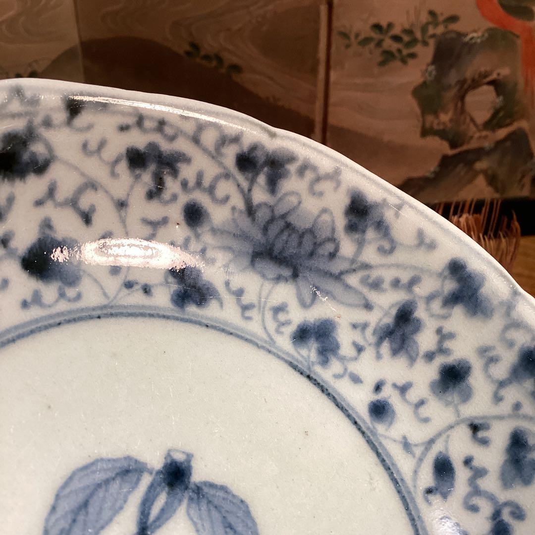 A996❷古伊万里　染付（柿右衛門）花唐草　見込栗紋様　輪花型　膾皿　1枚