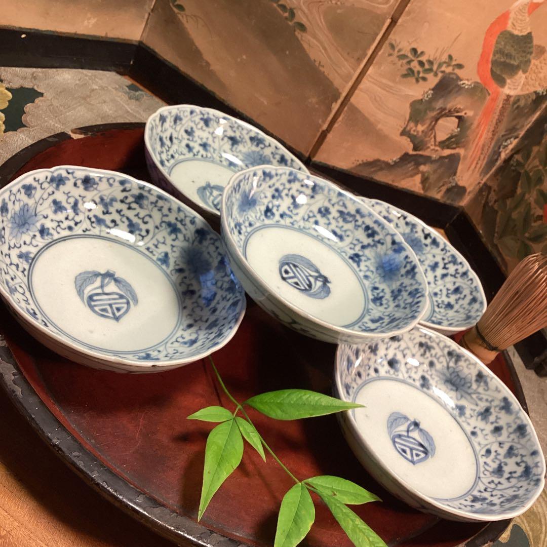 A996❷古伊万里　染付（柿右衛門）花唐草　見込栗紋様　輪花型　膾皿　1枚