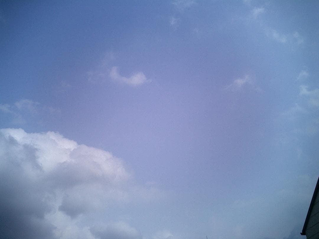 カシオ EXILIM EX-S3 コンデジ 純正バッテリー新品 SDカード2GB