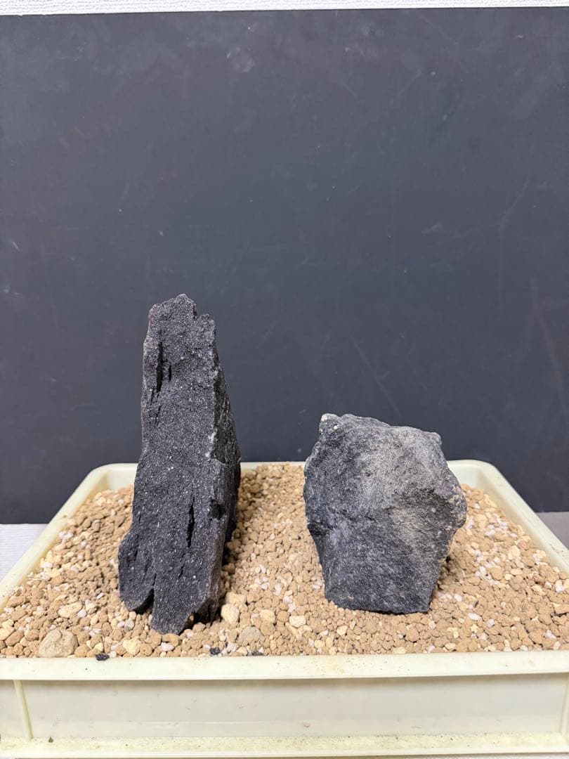 ⑧ADA山水石 組合せ！オススメ！