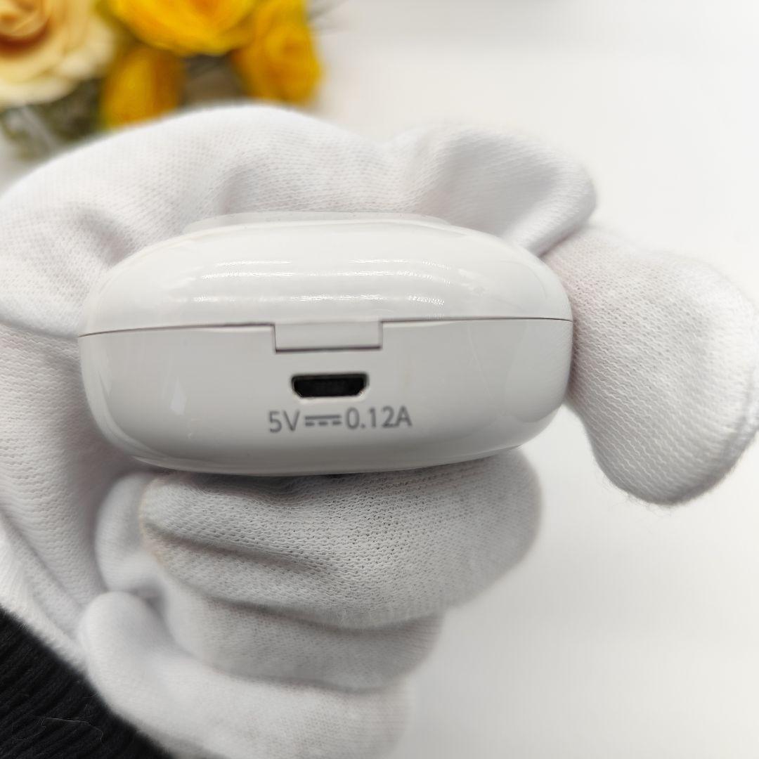 楽ちんヒアリング 耳穴型 集音 RA-SABG1 ショップジャパン