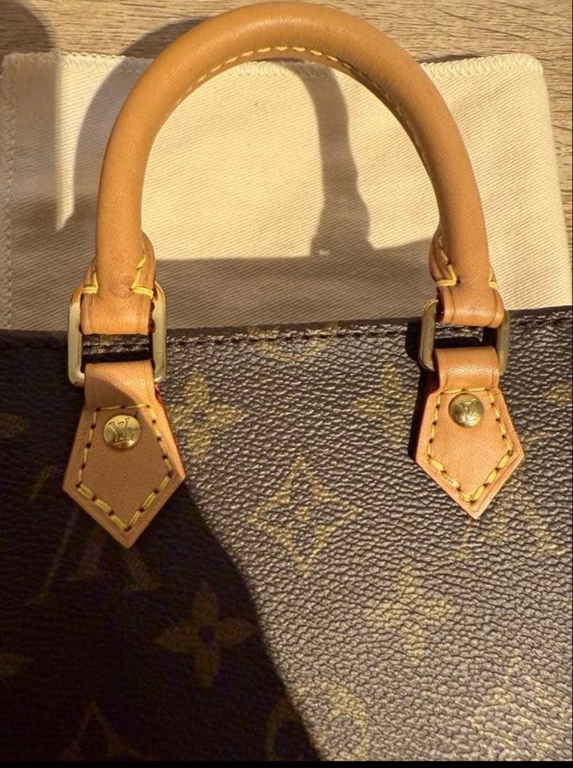 ⭐️ルイヴィトン プティットサックプラ　美品　正規品⭐️