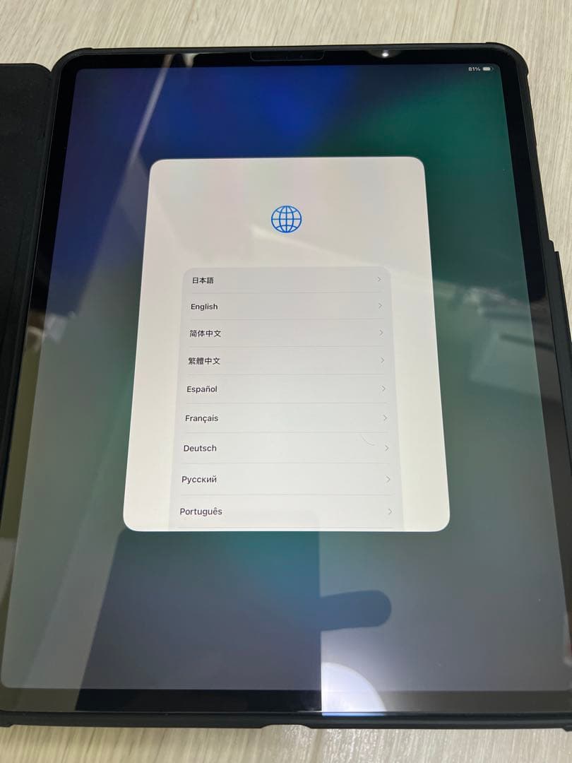 iPad Pro 12.9 第4世代 256GB セルラー 美品