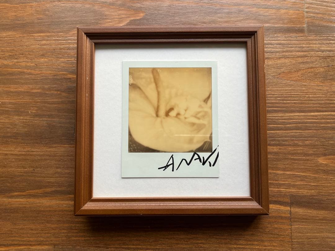 荒木経惟のポラロイド作品 1点。サイン入り、額装付き。