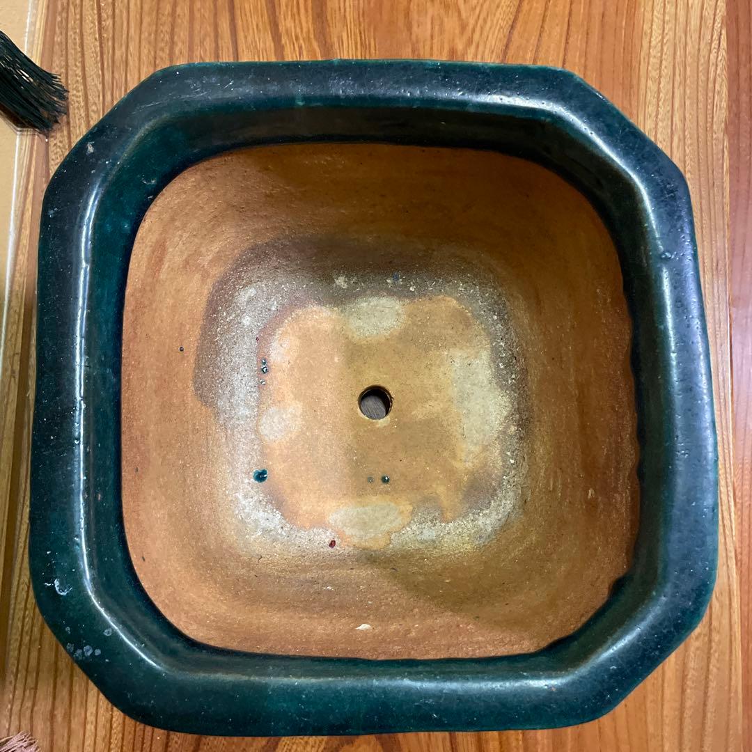 盆栽鉢 陶器製 八角形 釉薬 広東鉢 大型