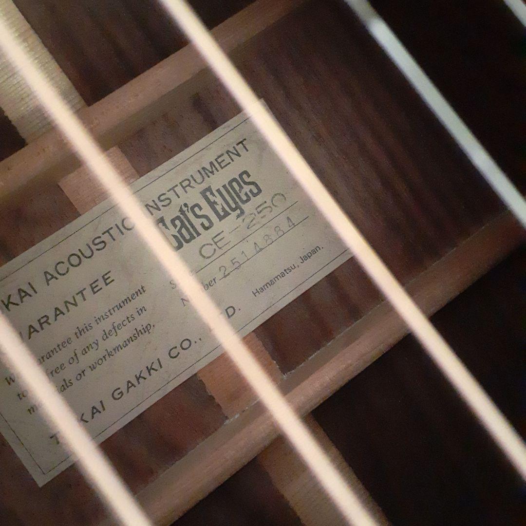Cat's EyeS CE250アコースティックギター