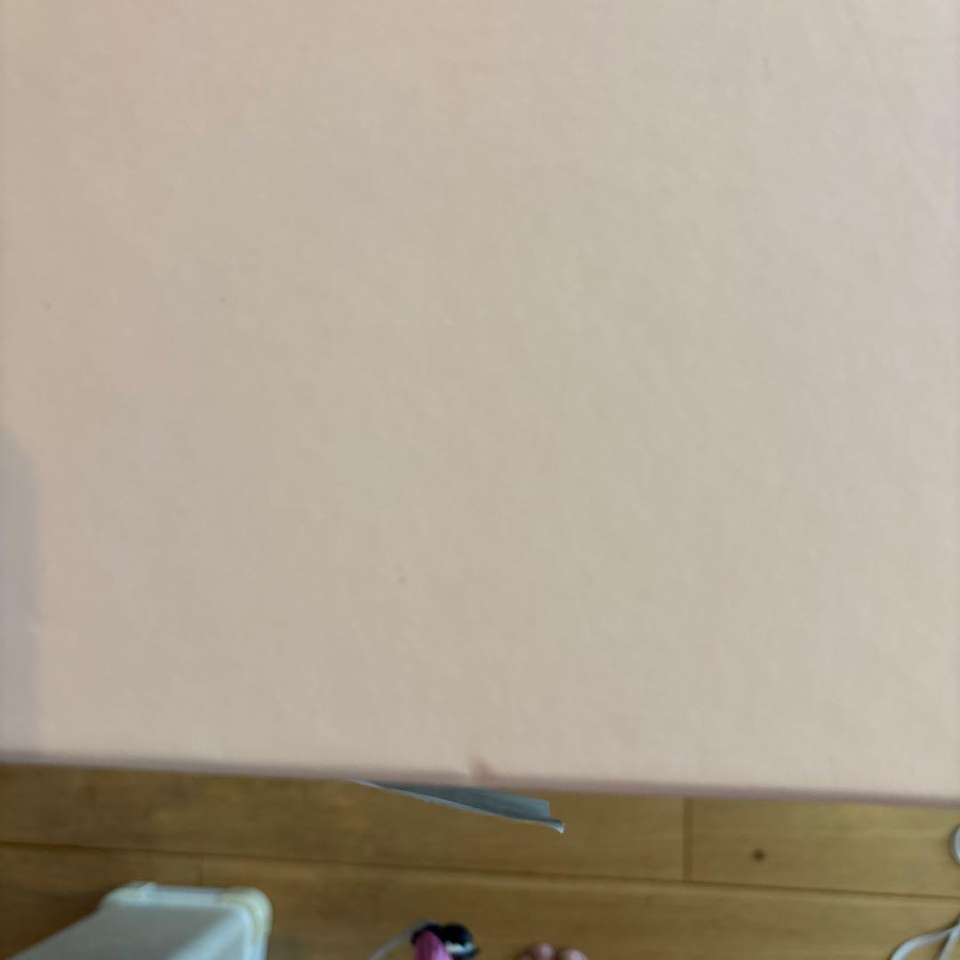 限定セール　Simone Rocha サンダル