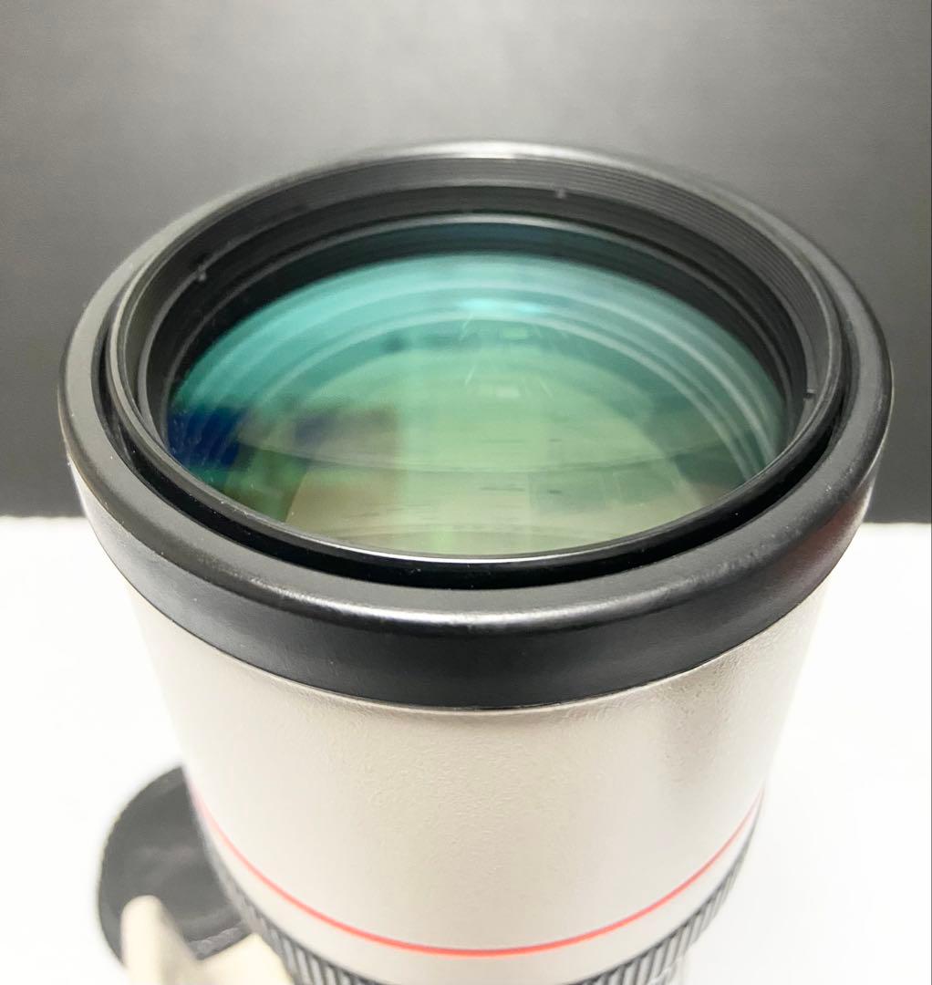 レンズ(単焦点) Canon EF 300mm F4 L IS