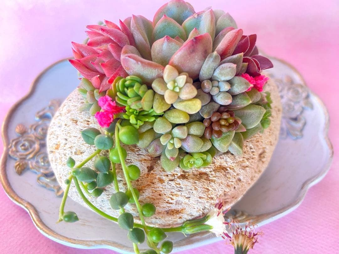 軽石寄せ植え✿そのまま飾れます