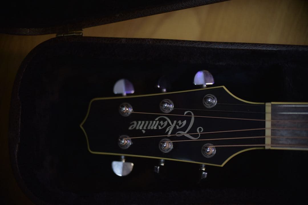 タカミネTakamine アコースティックギター ブラック　状態良し