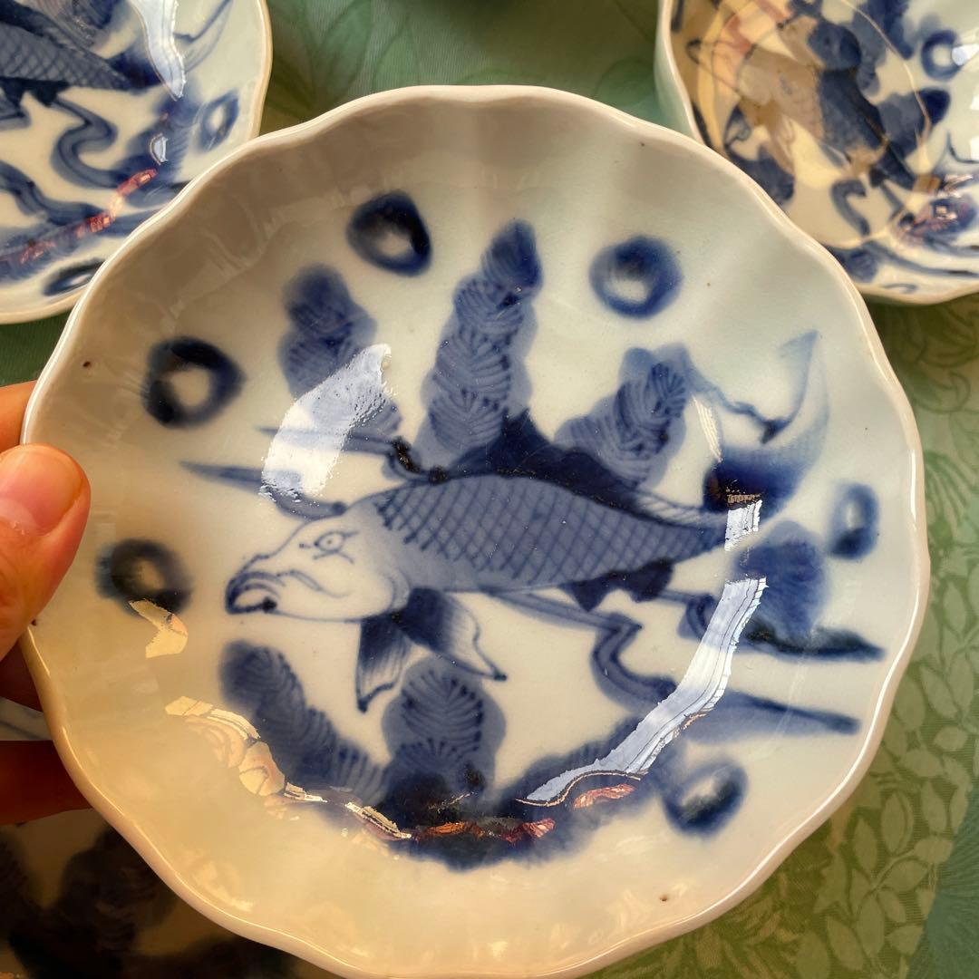 古伊万里　染付　魚　膾皿　5客