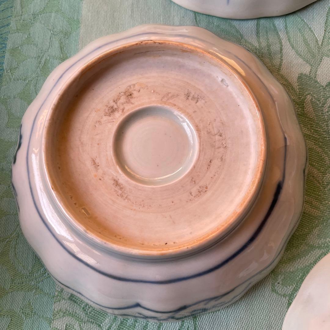 古伊万里　染付　魚　膾皿　5客