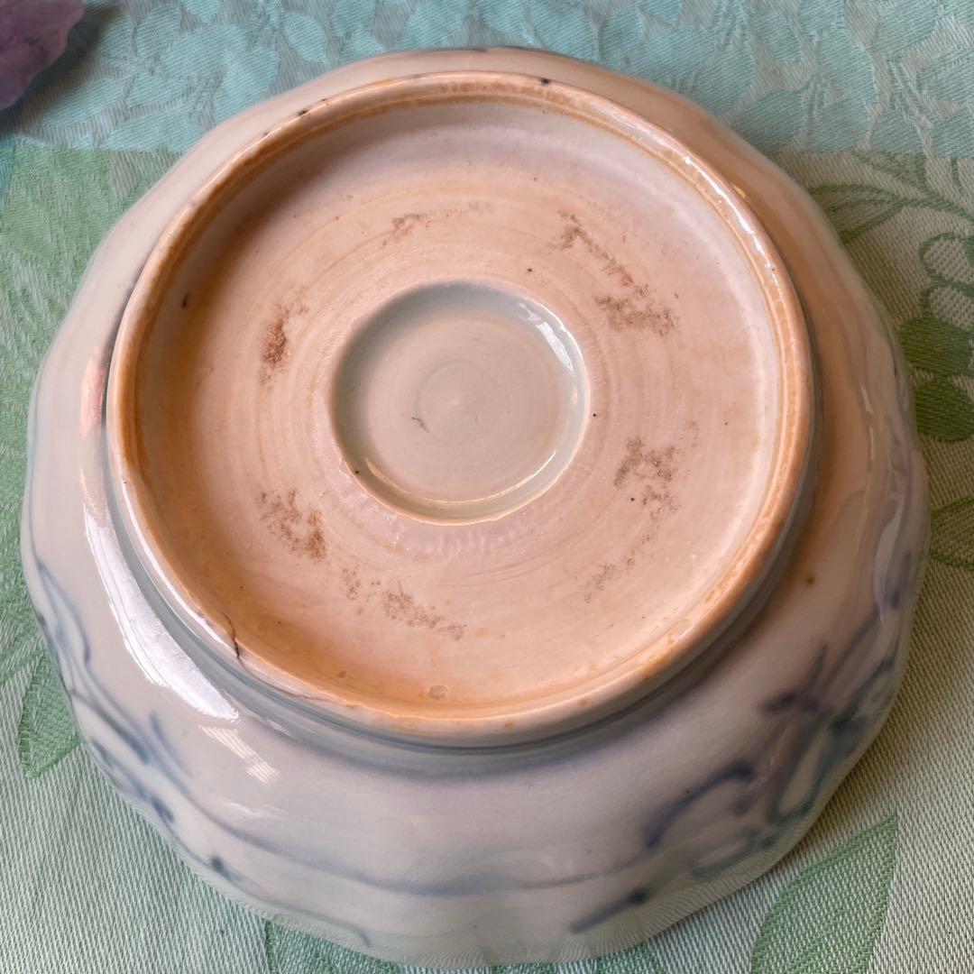 古伊万里　染付　魚　膾皿　5客