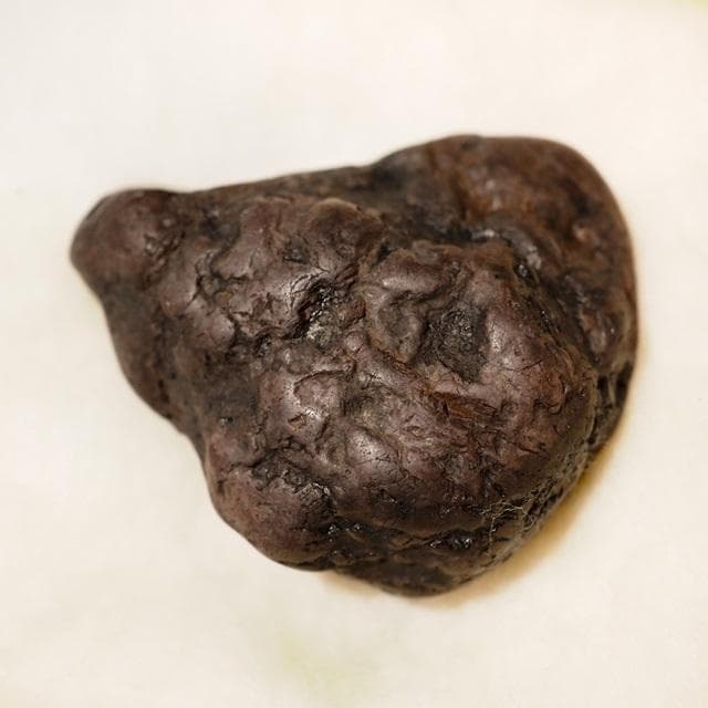 宝永溶岩　骨董品　富士山　古物　時代物　コレクション　江戸時代　木箱入 55