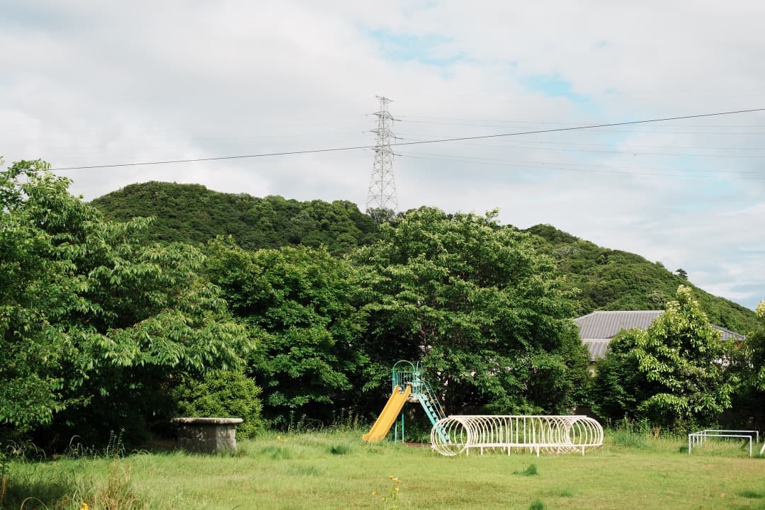 【極美品】Carl Zeiss Planar 50mm F1.4 MMJ 650