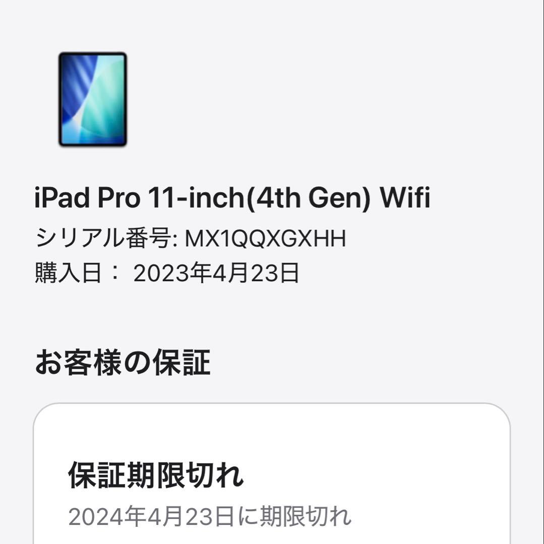 iPadPro 第4世代 11インチ Wi-Fi 256GB