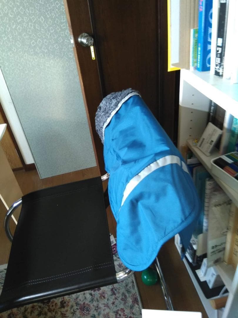 ポムッパ　ペルス　ペトロール　サイズ65