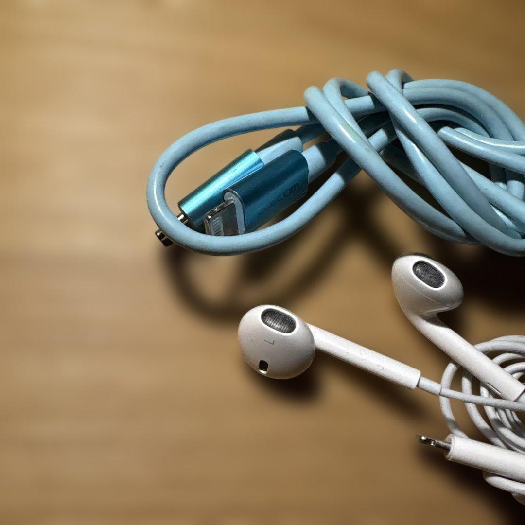 iPad 第6世代 32GB Wi-Fi 91% ケース,イヤホン,コードおまけ