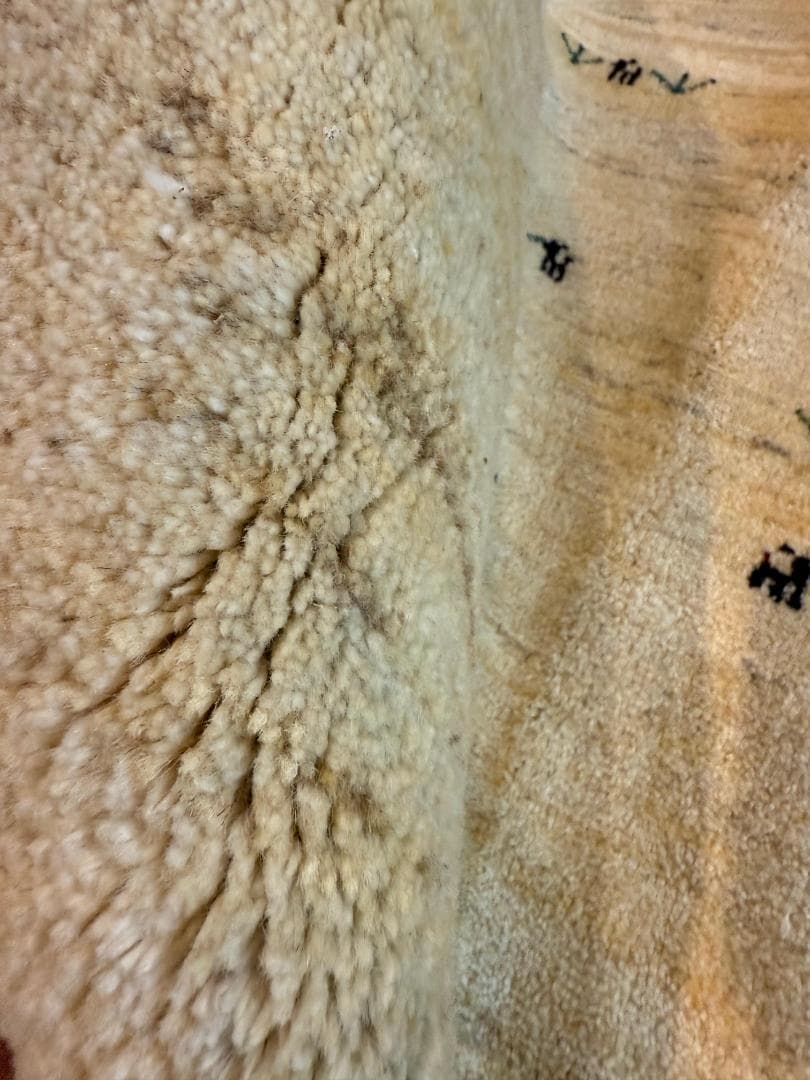 266x209cm 手織りペルシャギャッベ リビングラグ ナチュラル イラン