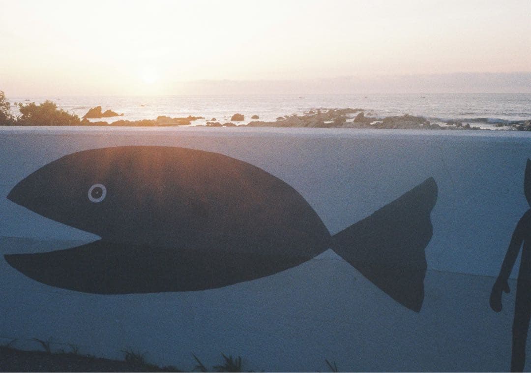 minolta repo ハーフカメラ　フィルムカメラ　オーバーホール済み