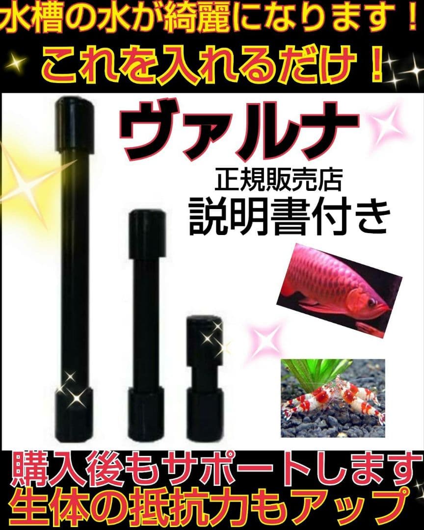 ヴァルナミニ　8センチ　水槽の透明度が抜群に！有害物質強力抑制！水替え不要に！