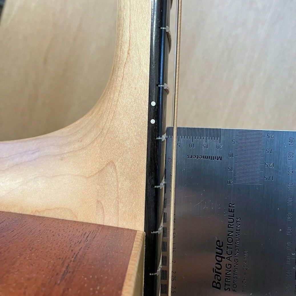 Taylor Academy 12e　テイラー【週末限定特価】