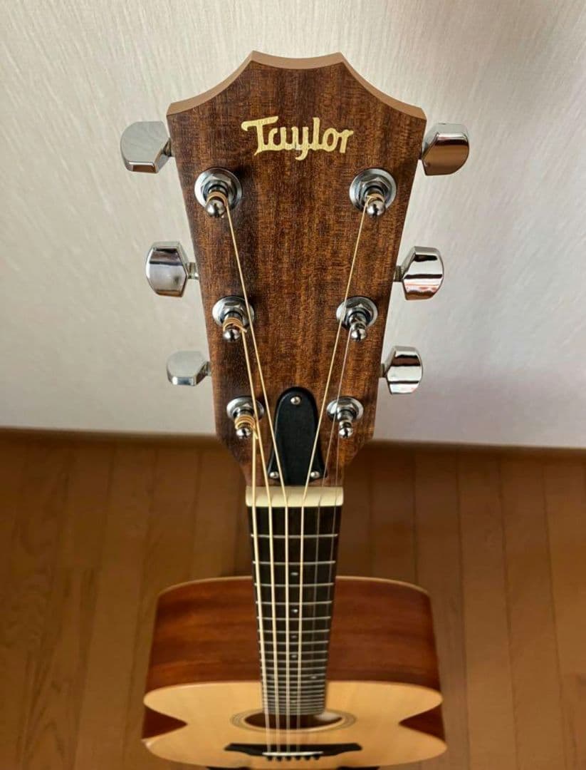 Taylor Academy 12e　テイラー【週末限定特価】