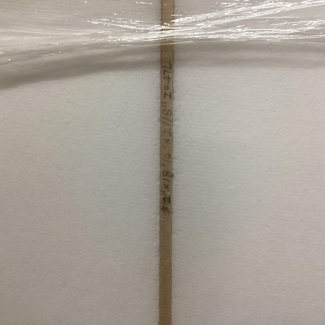 新品格安未来のカノアやコナを目指してエッセンスグロム5,2フィン付きEPS