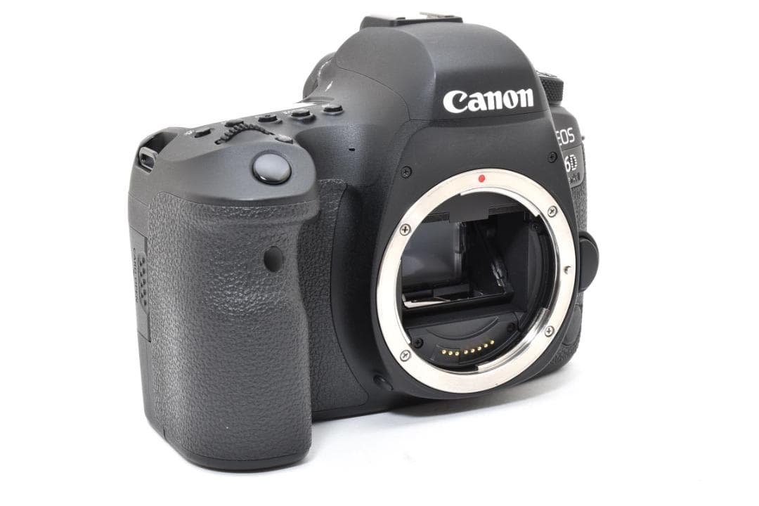 動確済 キャノン Canon EOS 6D Mark II #222