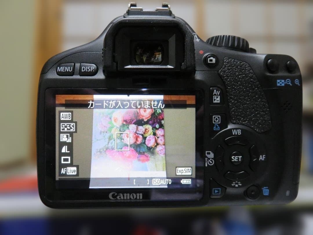 Canon デジタルカメラ EOS Kiss X4 ダブルズームキット