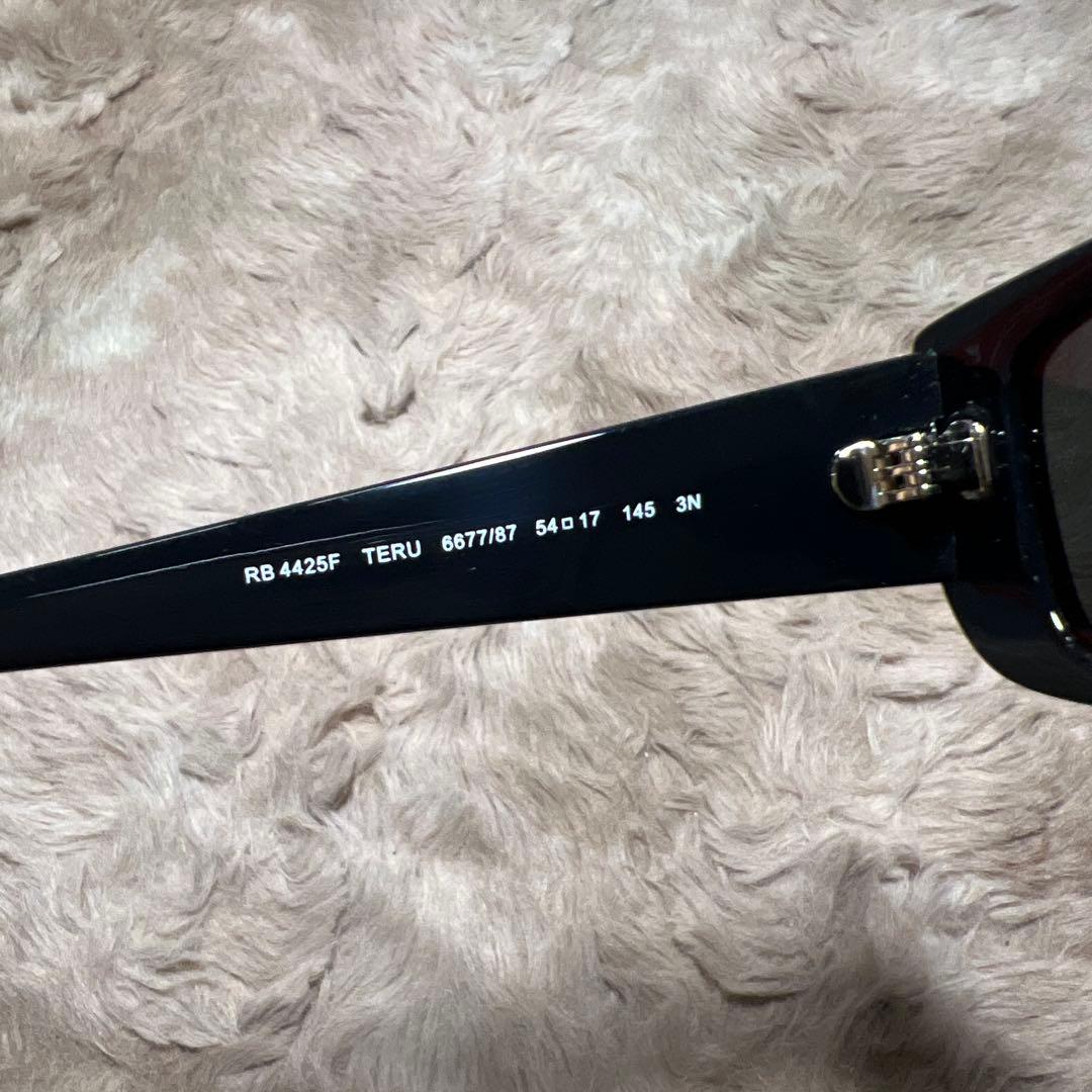 Ray-Ban(レイバン) サングラスRB4425F TERUユニセックス大人