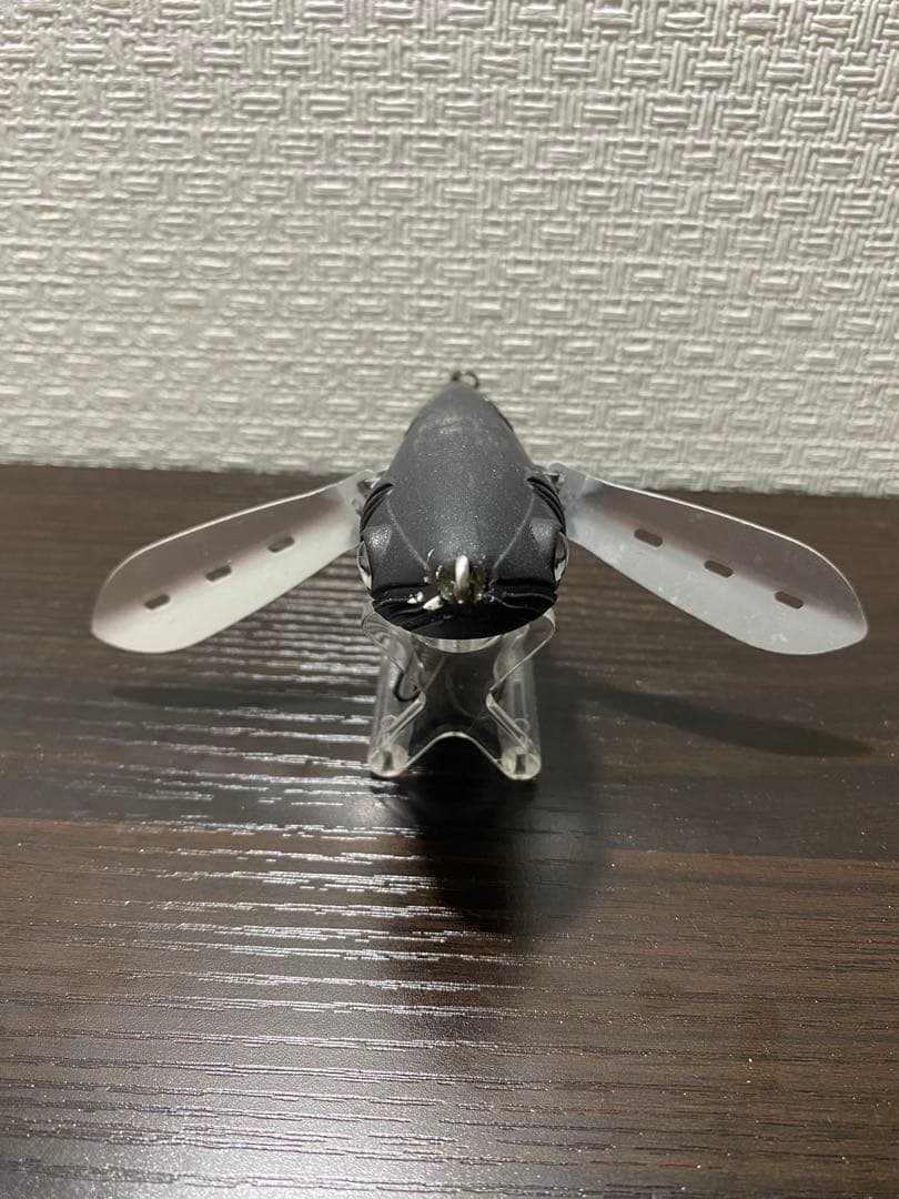 タエニア　TAENIA